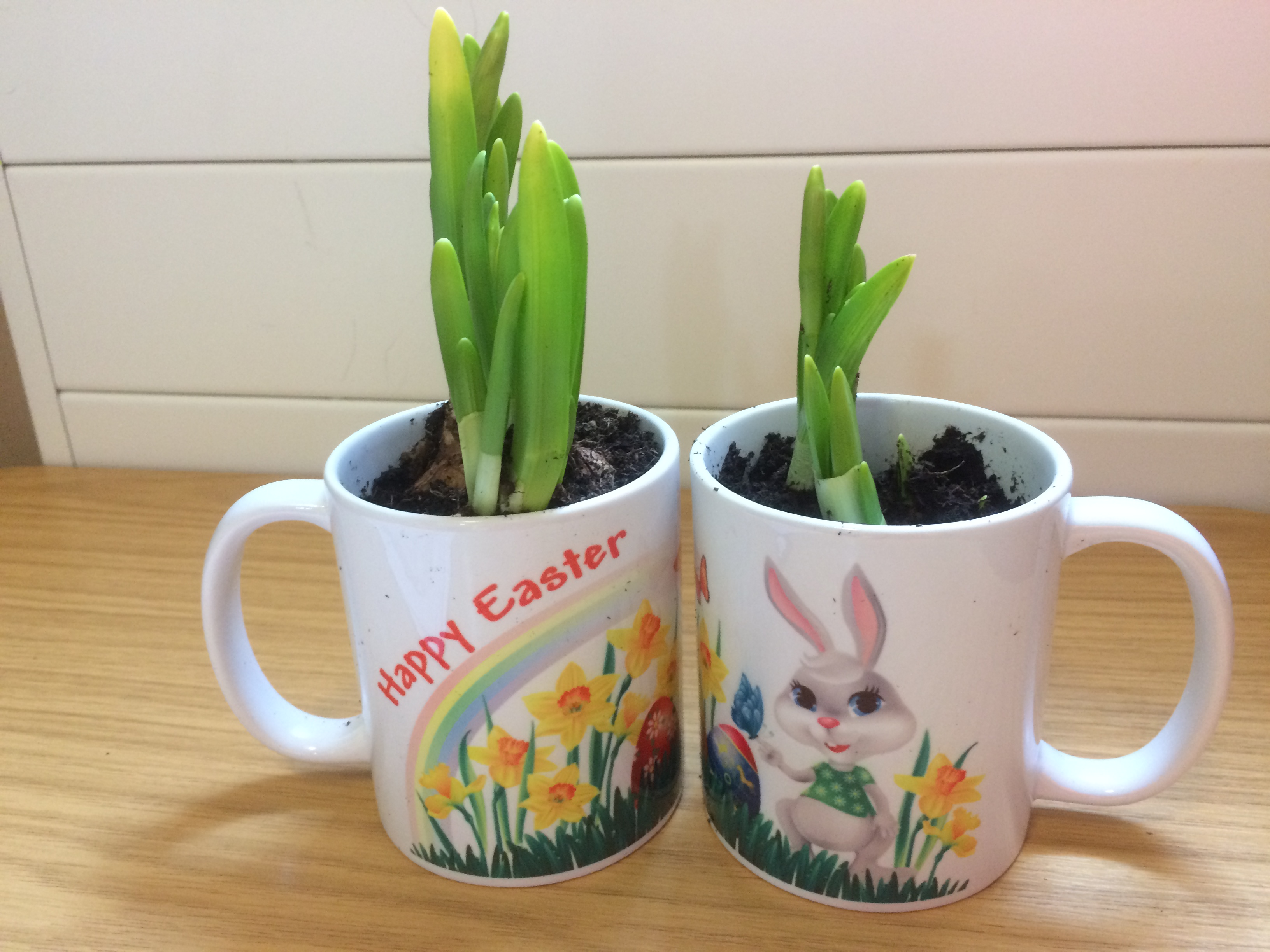 Easter at Four Seasons Care Centre: Key Healthcare is dedicated to caring for elderly residents in safe. We have multiple dementia care homes including our care home middlesbrough, our care home St. Helen and care home saltburn. We excel in monitoring and improving care levels.